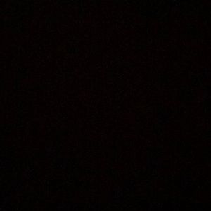 Meet your Posher, Trevor